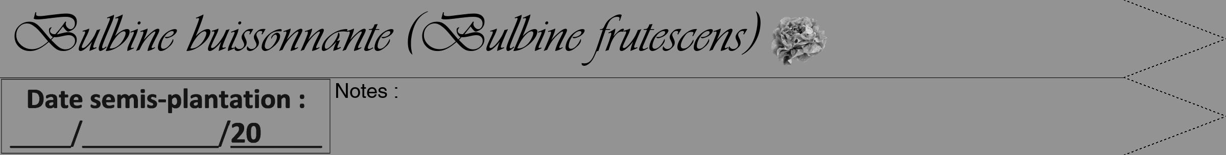 Étiquette de : Bulbine frutescens - format b - style noire44simpleviv avec comestibilité simplifiée