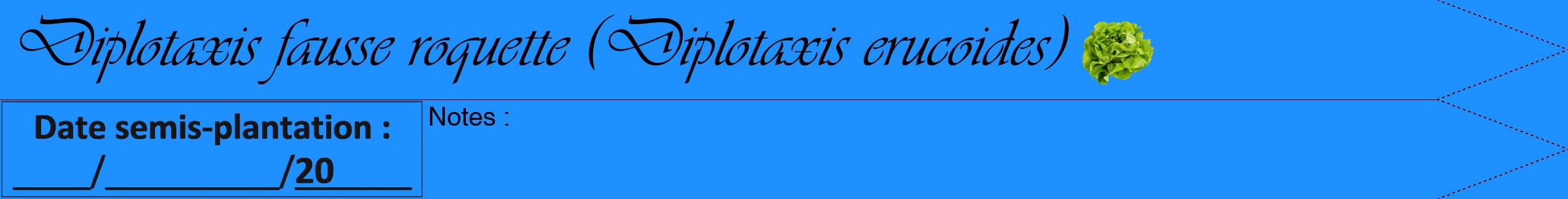 Étiquette de : Diplotaxis erucoides - format b - style noire3viv avec comestibilité simplifiée