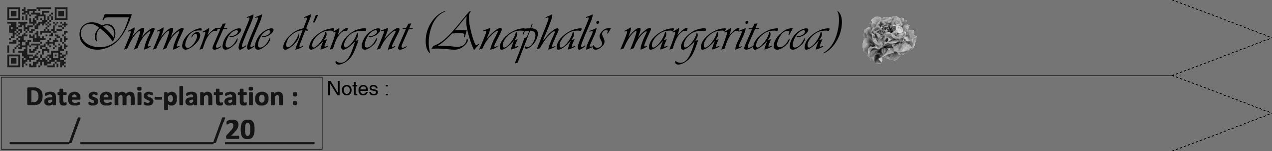 Étiquette de : Anaphalis margaritacea - format b - style noire5viv avec qrcode et comestibilité simplifiée