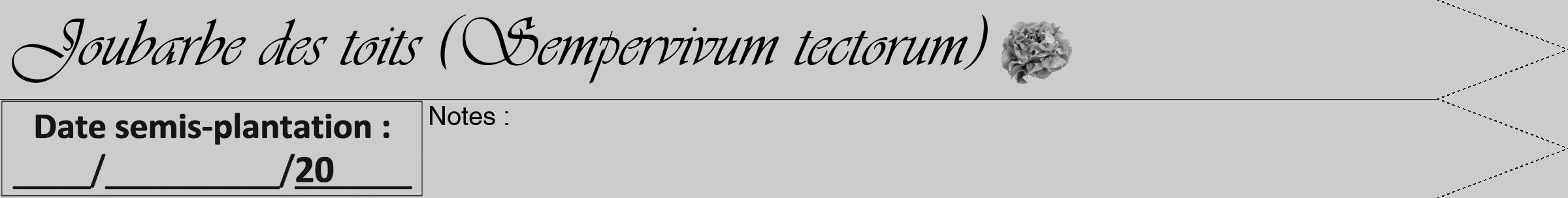 Étiquette de : Sempervivum tectorum - format b - style noire0viv avec comestibilité simplifiée