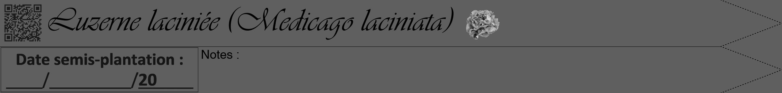 Étiquette de : Medicago laciniata - format b - style noire10viv avec qrcode et comestibilité simplifiée