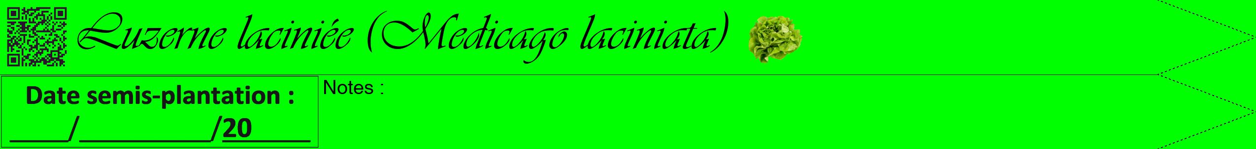 Étiquette de : Medicago laciniata - format b - style noire16viv avec qrcode et comestibilité simplifiée