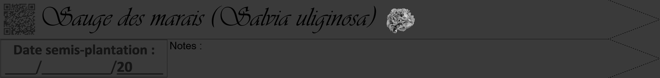 Étiquette de : Salvia uliginosa - format b - style noire8viv avec qrcode et comestibilité simplifiée