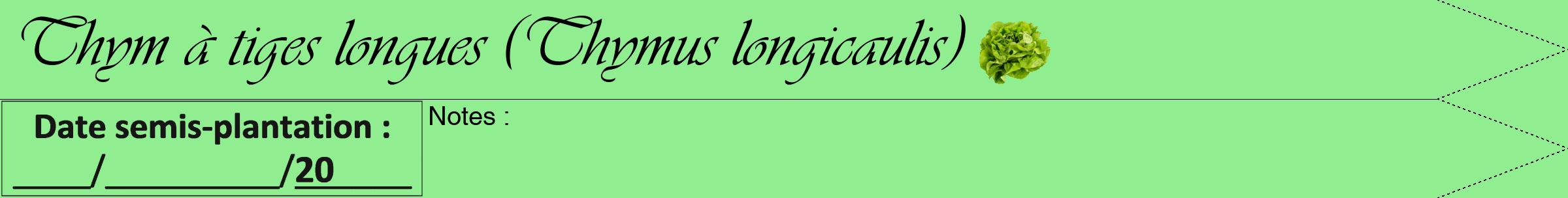 Étiquette de : Thymus longicaulis - format b - style noire15viv avec comestibilité simplifiée