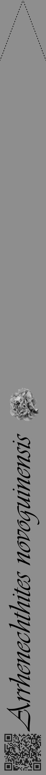 Étiquette de : Arrhenechthites novoguinensis - format b - style noire25viv avec qrcode et comestibilité simplifiée - position verticale