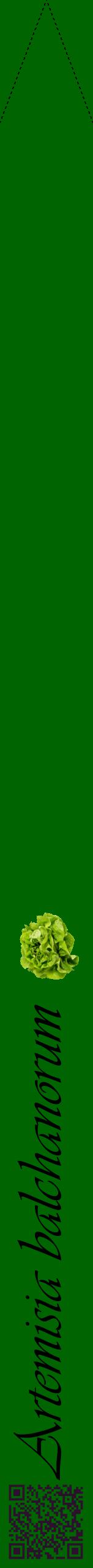 Étiquette de : Artemisia balchanorum - format b - style noire8viv avec qrcode et comestibilité simplifiée