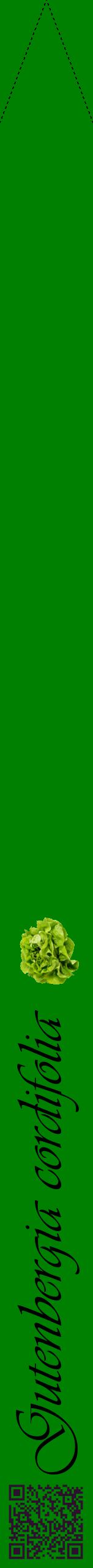 Étiquette de : Gutenbergia cordifolia - format b - style noire9viv avec qrcode et comestibilité simplifiée