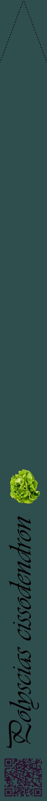 Étiquette de : Polyscias cissodendron - format b - style noire58viv avec qrcode et comestibilité simplifiée
