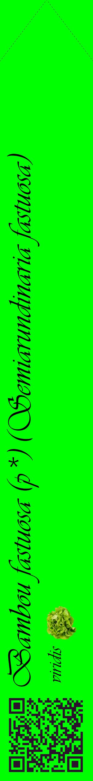 Étiquette de : Semiarundinaria fastuosa viridis - format c - style noire16_simpleviv avec qrcode et comestibilité simplifiée