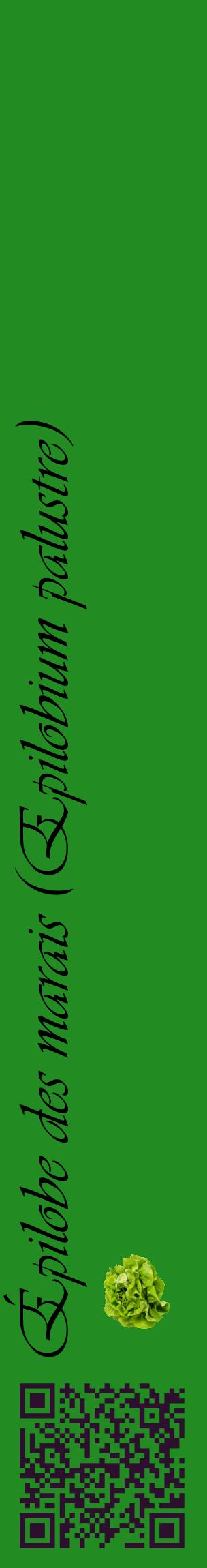 Étiquette de : Epilobium palustre - format c - style noire10_basiqueviv avec qrcode et comestibilité simplifiée
