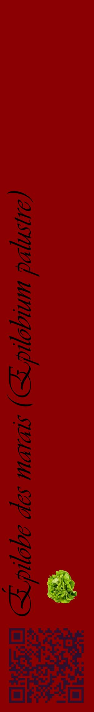 Étiquette de : Epilobium palustre - format c - style noire34_basiqueviv avec qrcode et comestibilité simplifiée