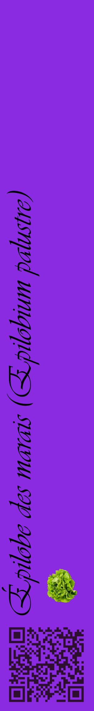 Étiquette de : Epilobium palustre - format c - style noire49_basiqueviv avec qrcode et comestibilité simplifiée