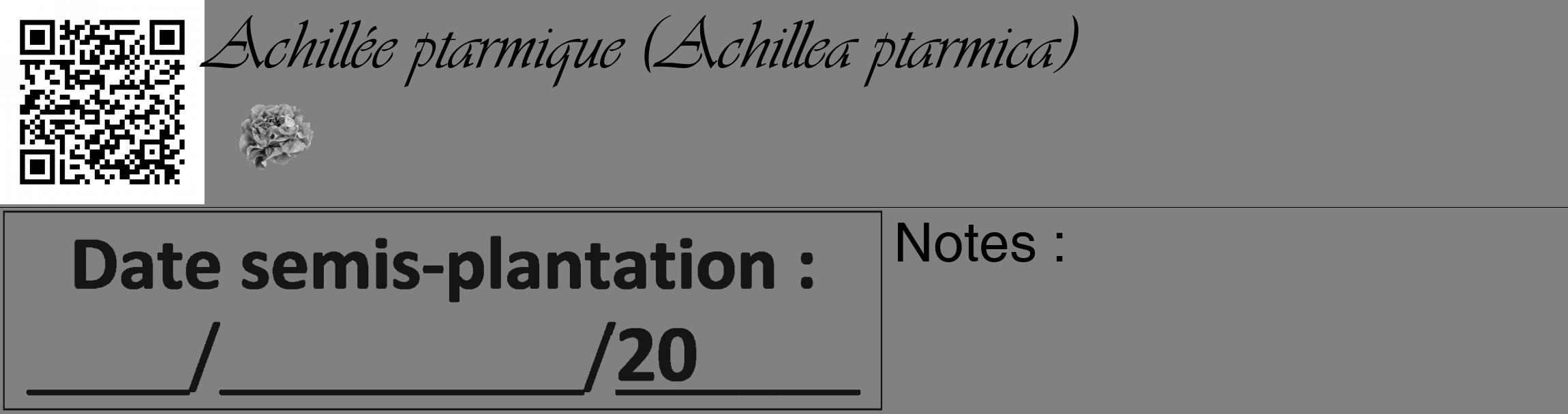 Étiquette de : Achillea ptarmica - format c - style noire50_basique_basiqueviv avec qrcode et comestibilité simplifiée