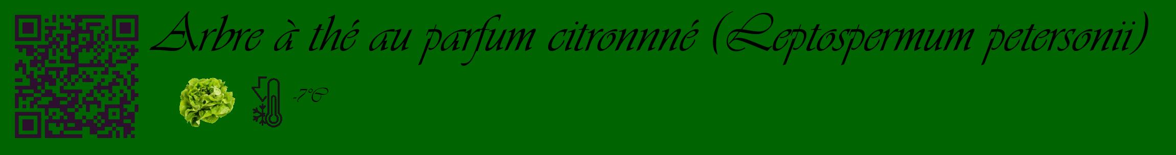 Étiquette de : Leptospermum petersonii - format c - style noire8_basique_basiqueviv avec qrcode et comestibilité simplifiée