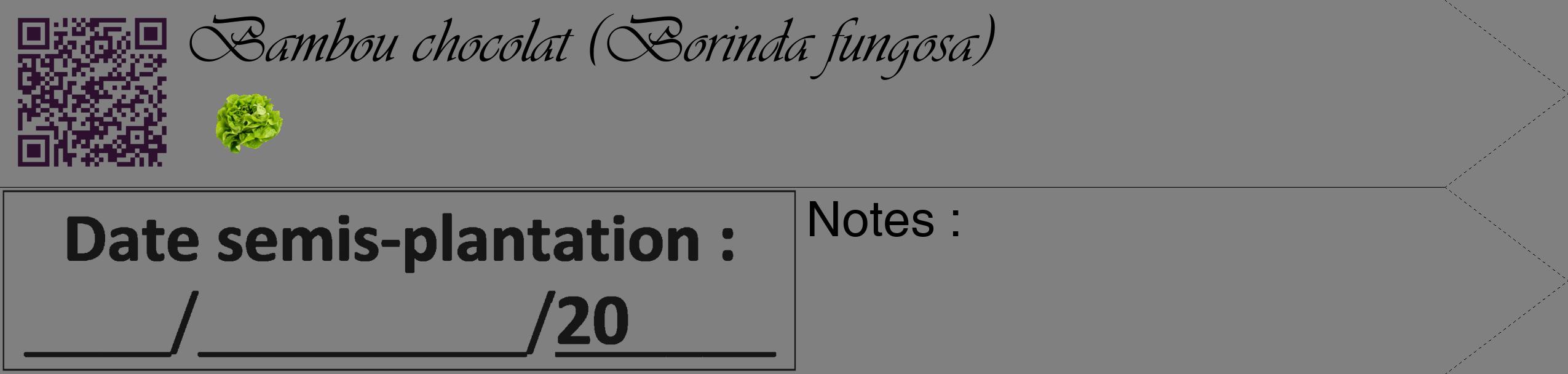 Étiquette de : Borinda fungosa - format c - style noire57_simple_simpleviv avec qrcode et comestibilité simplifiée