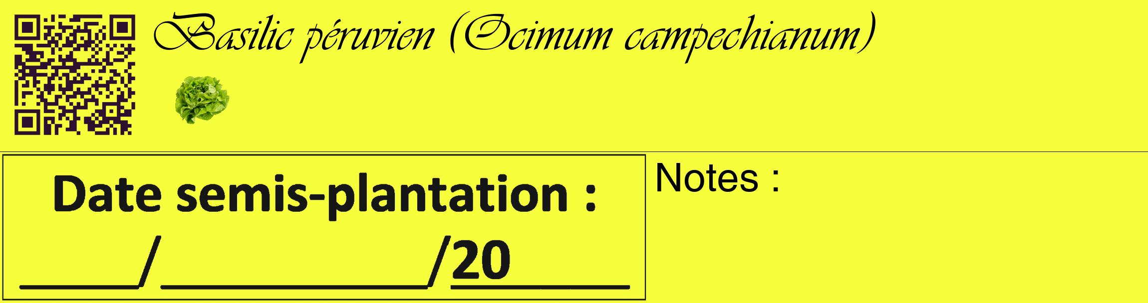 Étiquette de : Ocimum campechianum - format c - style noire18_basique_basiqueviv avec qrcode et comestibilité simplifiée