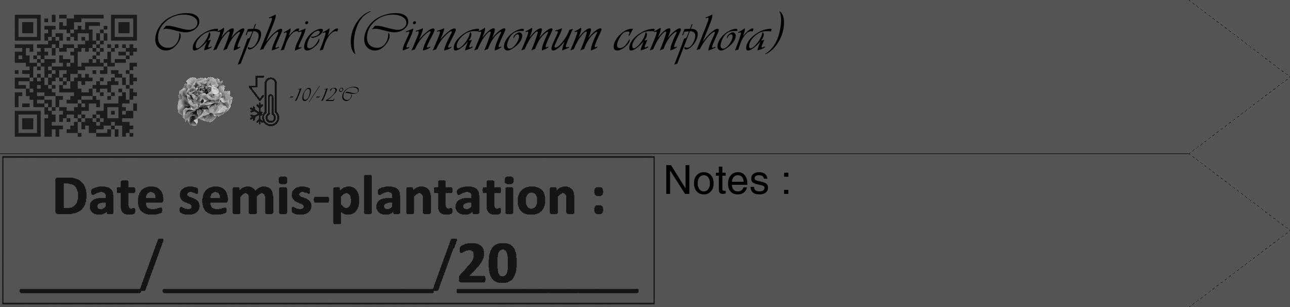 Étiquette de : Cinnamomum camphora - format c - style noire36_simple_simpleviv avec qrcode et comestibilité simplifiée