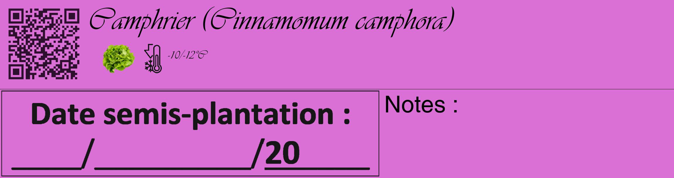 Étiquette de : Cinnamomum camphora - format c - style noire52_basique_basiqueviv avec qrcode et comestibilité simplifiée