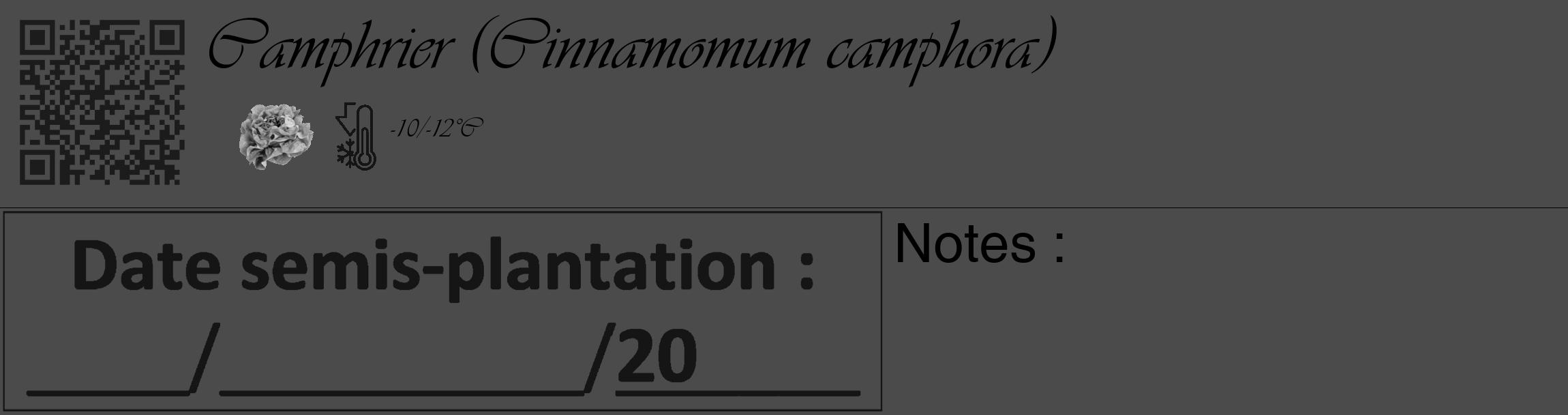 Étiquette de : Cinnamomum camphora - format c - style noire9_basique_basiqueviv avec qrcode et comestibilité simplifiée
