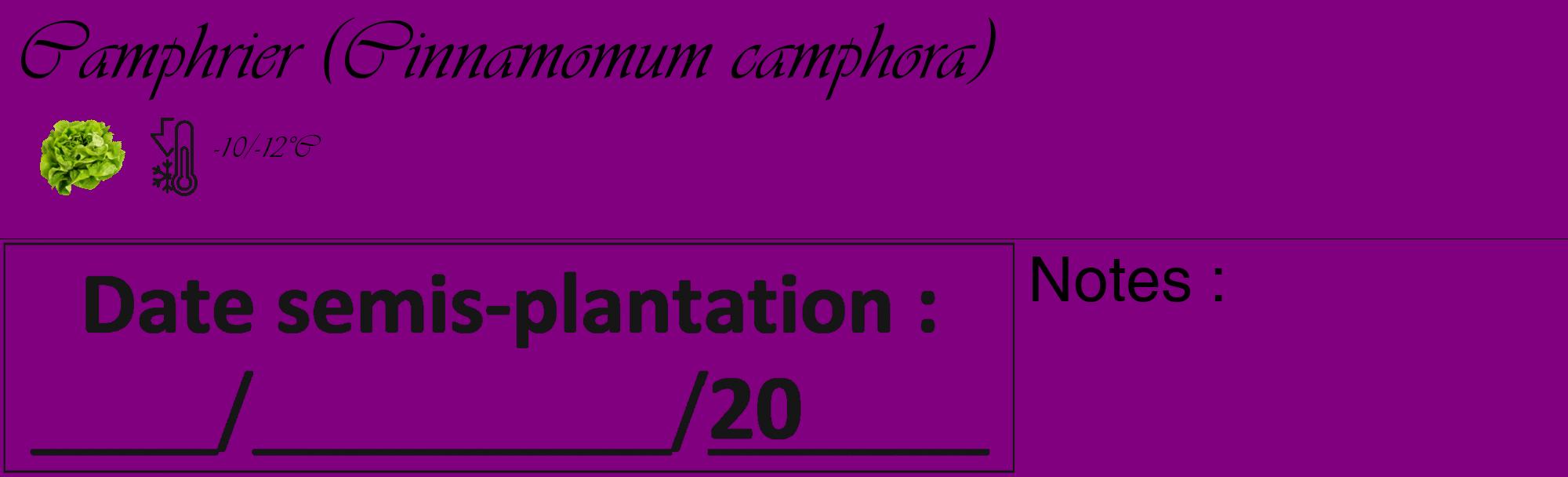 Étiquette de : Cinnamomum camphora - format c - style noire46_basique_basiqueviv avec comestibilité simplifiée