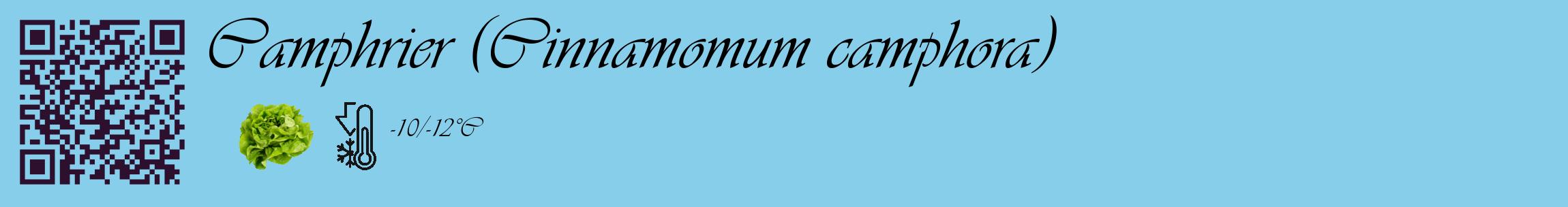 Étiquette de : Cinnamomum camphora - format c - style noire1_basique_basiqueviv avec qrcode et comestibilité simplifiée