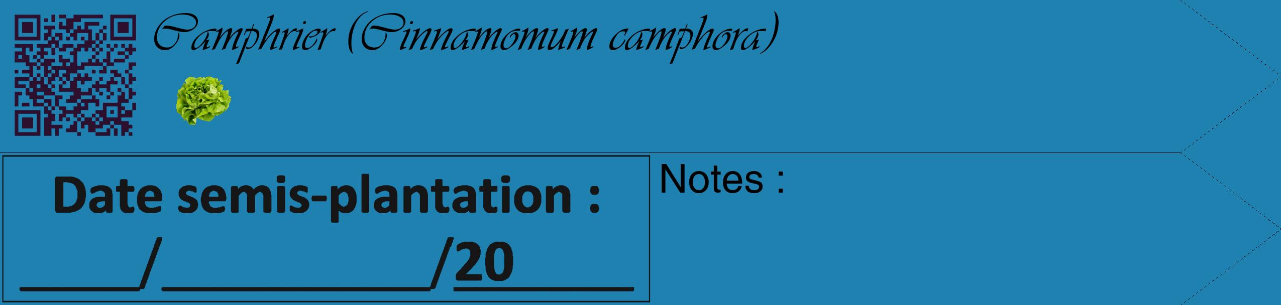 Étiquette de : Cinnamomum camphora - format c - style noire6_simple_simpleviv avec qrcode et comestibilité simplifiée