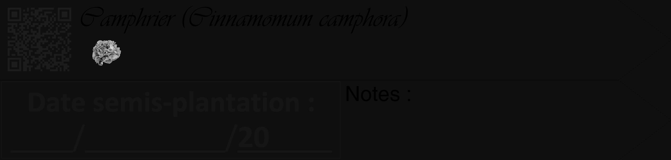 Étiquette de : Cinnamomum camphora - format c - style noire7_simple_simpleviv avec qrcode et comestibilité simplifiée