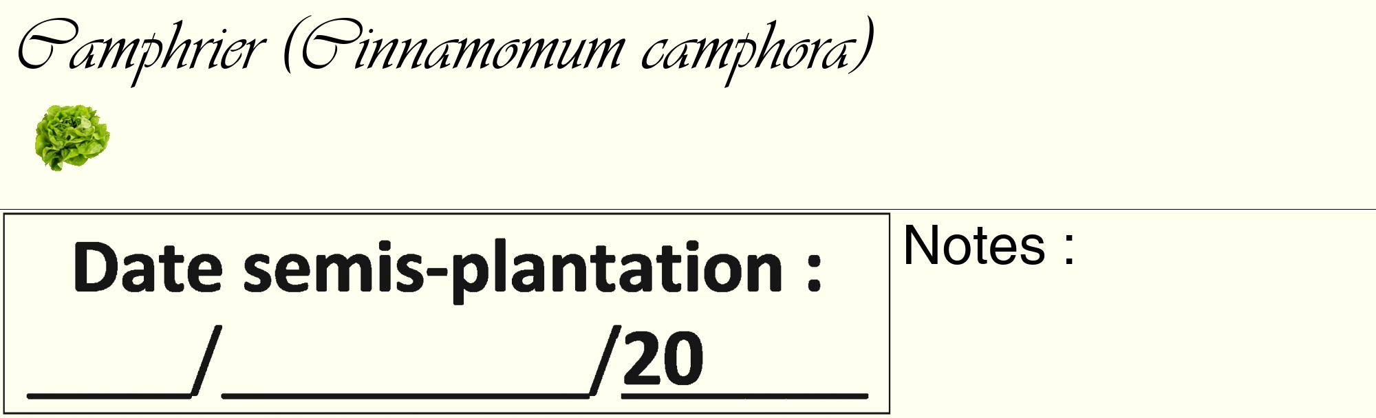 Étiquette de : Cinnamomum camphora - format c - style noire19_basique_basiqueviv avec comestibilité simplifiée