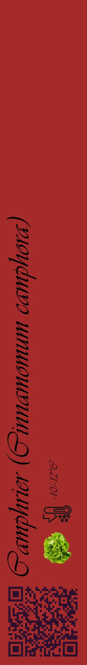 Étiquette de : Cinnamomum camphora - format c - style noire33_basique_basiqueviv avec qrcode et comestibilité simplifiée - position verticale