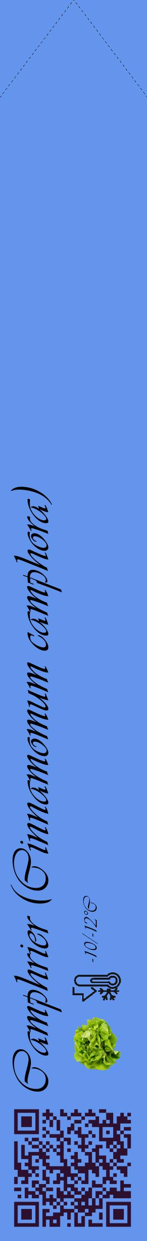 Étiquette de : Cinnamomum camphora - format c - style noire4_simple_simpleviv avec qrcode et comestibilité simplifiée - position verticale