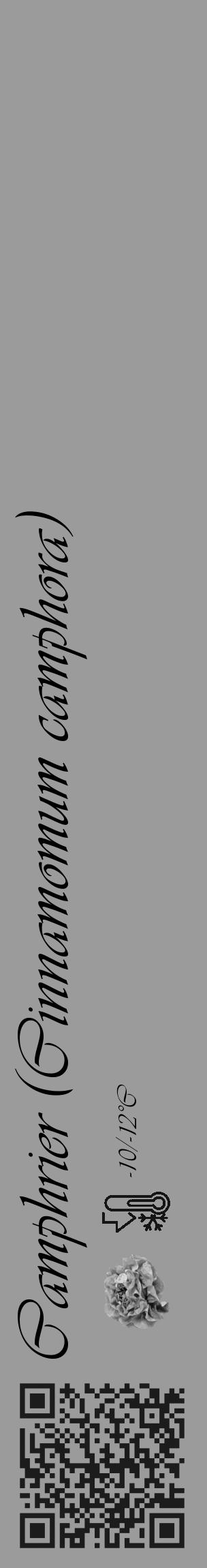 Étiquette de : Cinnamomum camphora - format c - style noire52_basique_basiqueviv avec qrcode et comestibilité simplifiée - position verticale