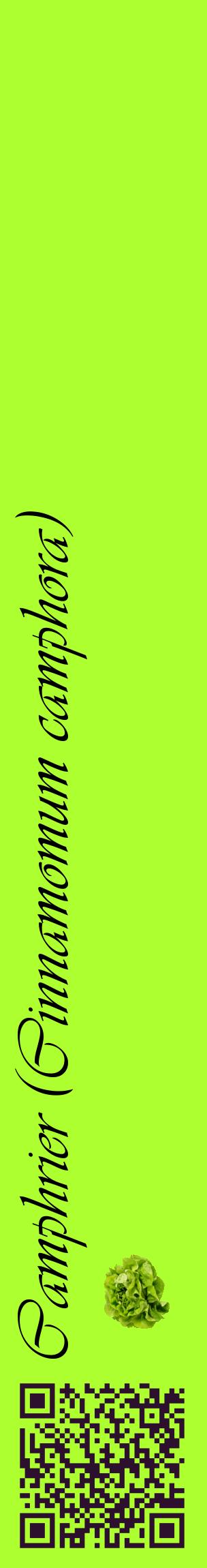 Étiquette de : Cinnamomum camphora - format c - style noire17_basiqueviv avec qrcode et comestibilité simplifiée