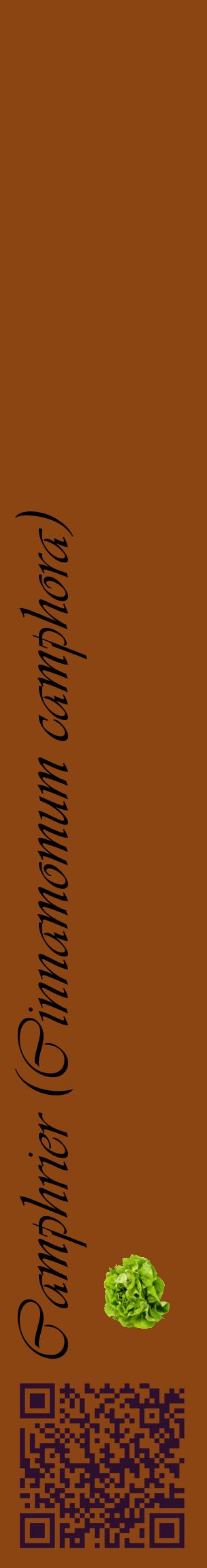 Étiquette de : Cinnamomum camphora - format c - style noire30_basiqueviv avec qrcode et comestibilité simplifiée