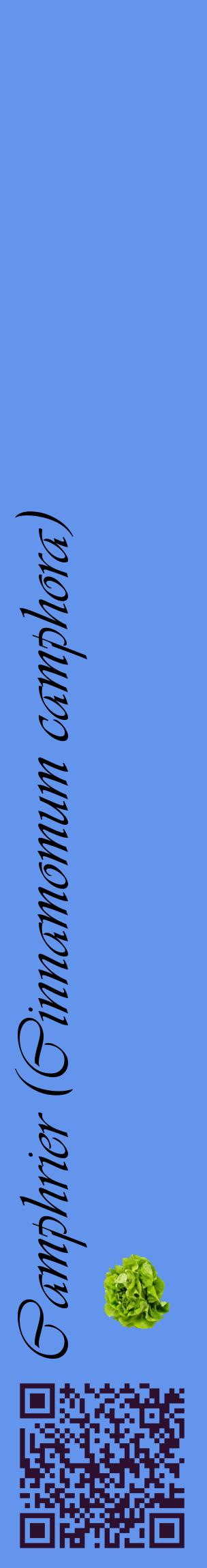 Étiquette de : Cinnamomum camphora - format c - style noire4_basiqueviv avec qrcode et comestibilité simplifiée