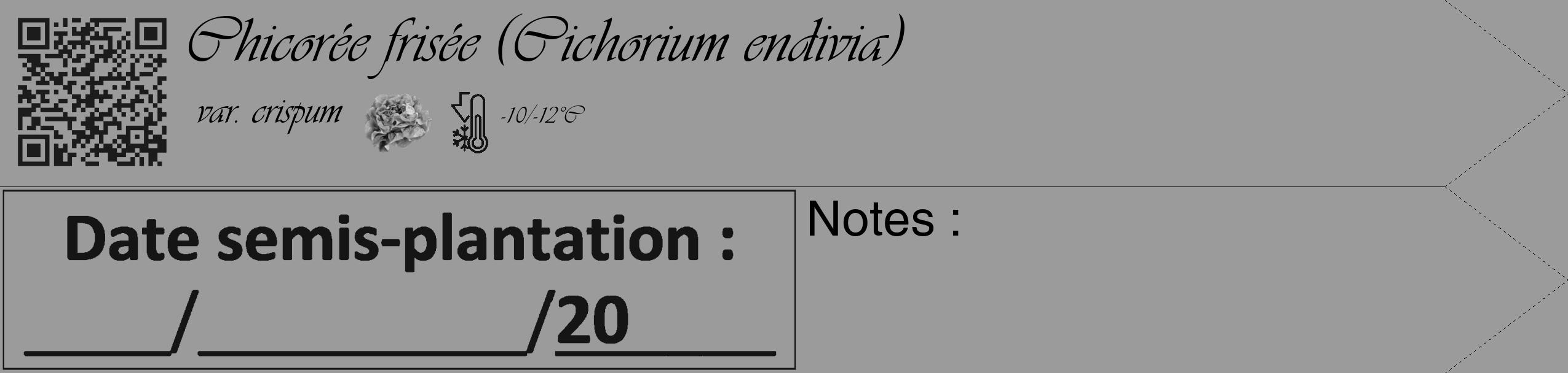 Étiquette de : Cichorium endivia var. crispum - format c - style noire52simple_simple_simpleviv avec qrcode et comestibilité simplifiée
