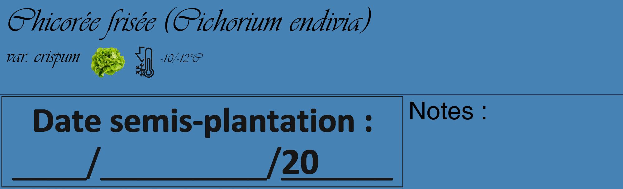 Étiquette de : Cichorium endivia var. crispum - format c - style noire5_basique_basiqueviv avec comestibilité simplifiée