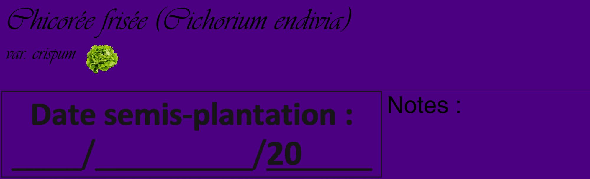 Étiquette de : Cichorium endivia var. crispum - format c - style noire47_basique_basiqueviv avec comestibilité simplifiée