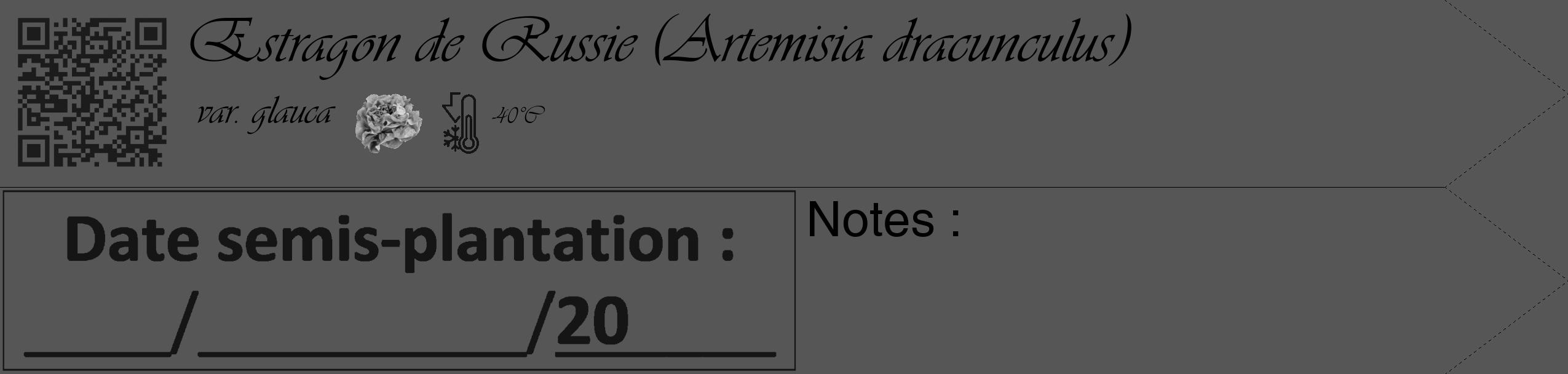 Étiquette de : Artemisia dracunculus var. glauca - format c - style noire45_simple_simpleviv avec qrcode et comestibilité simplifiée