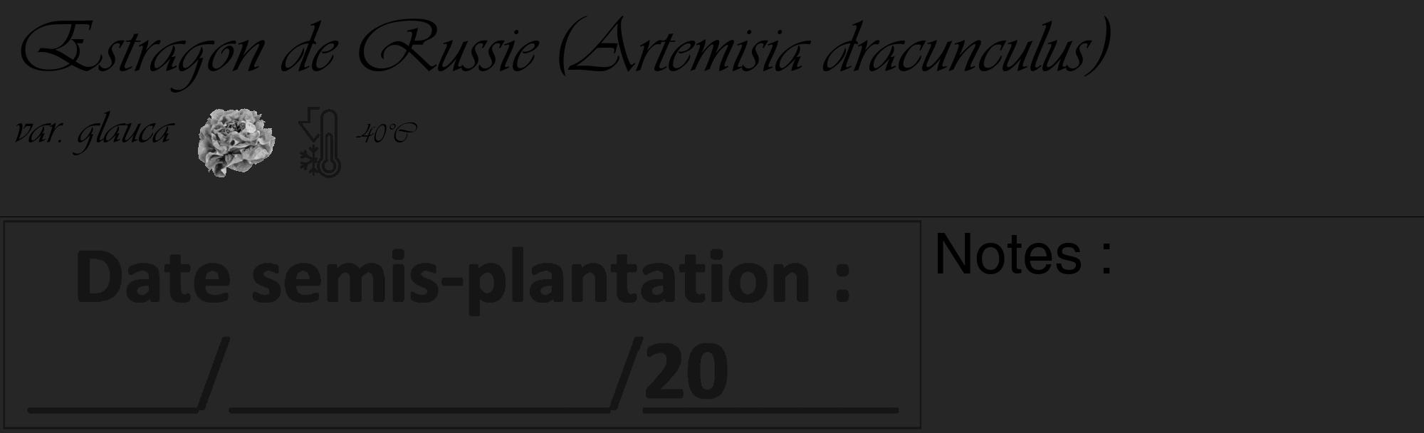 Étiquette de : Artemisia dracunculus var. glauca - format c - style noire29_basique_basiqueviv avec comestibilité simplifiée