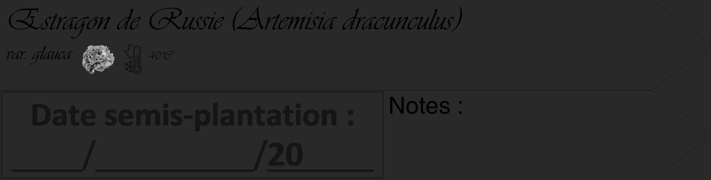 Étiquette de : Artemisia dracunculus var. glauca - format c - style noire34_simple_simpleviv avec comestibilité simplifiée