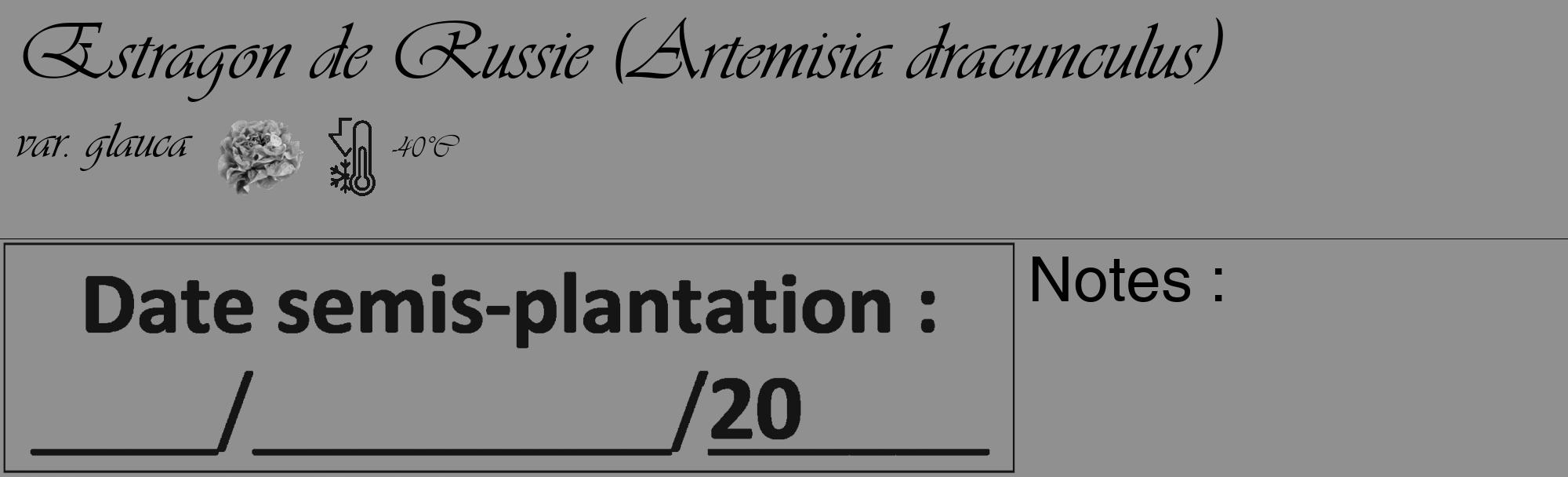 Étiquette de : Artemisia dracunculus var. glauca - format c - style noire4_basique_basiqueviv avec comestibilité simplifiée
