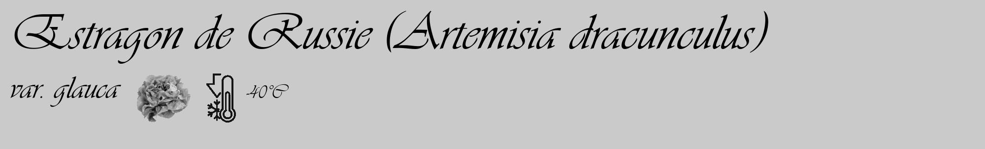 Étiquette de : Artemisia dracunculus var. glauca - format c - style noire21basique_basique_basiqueviv avec comestibilité simplifiée