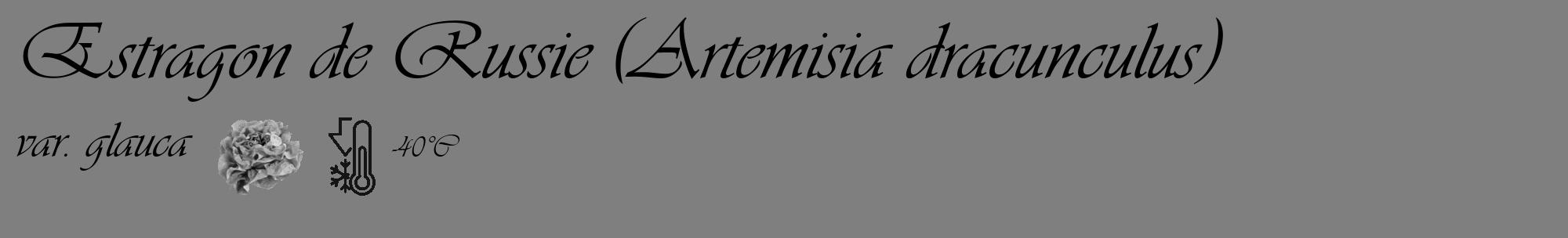 Étiquette de : Artemisia dracunculus var. glauca - format c - style noire31_basique_basiqueviv avec comestibilité simplifiée