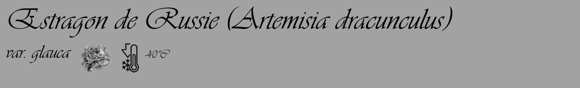 Étiquette de : Artemisia dracunculus var. glauca - format c - style noire38_basique_basiqueviv avec comestibilité simplifiée