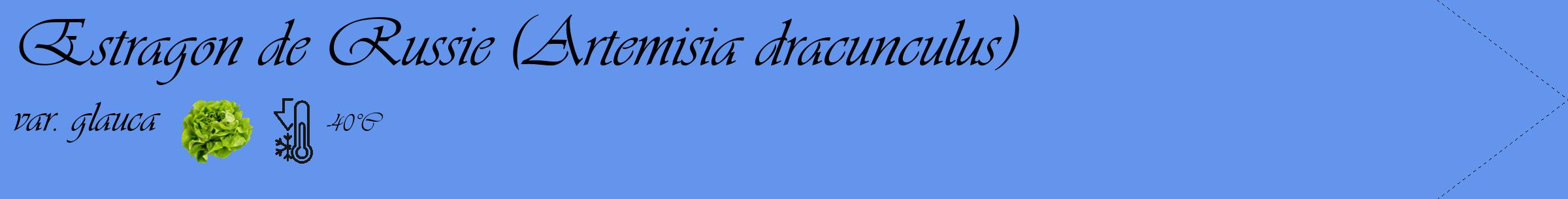 Étiquette de : Artemisia dracunculus var. glauca - format c - style noire4_simple_simpleviv avec comestibilité simplifiée