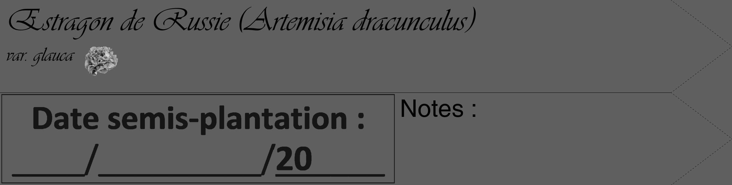 Étiquette de : Artemisia dracunculus var. glauca - format c - style noire10_simple_simpleviv avec comestibilité simplifiée