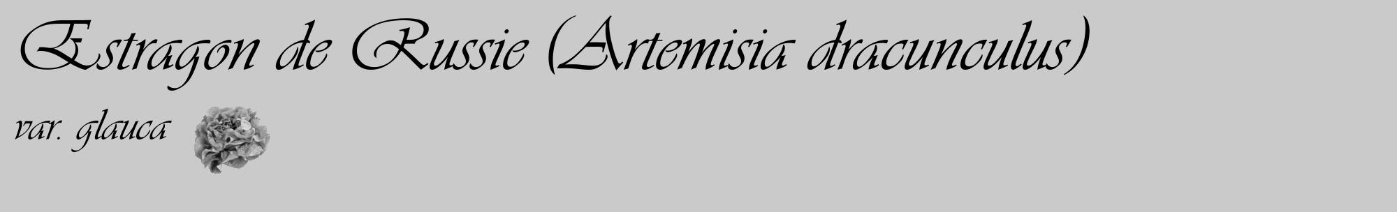 Étiquette de : Artemisia dracunculus var. glauca - format c - style noire21basique_basique_basiqueviv avec comestibilité simplifiée