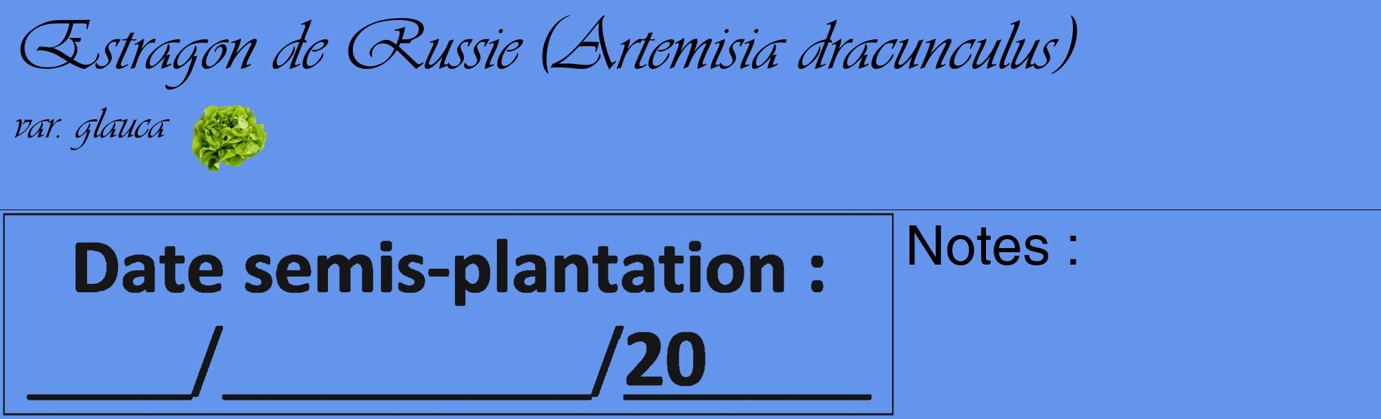 Étiquette de : Artemisia dracunculus var. glauca - format c - style noire4_basique_basiqueviv avec comestibilité simplifiée