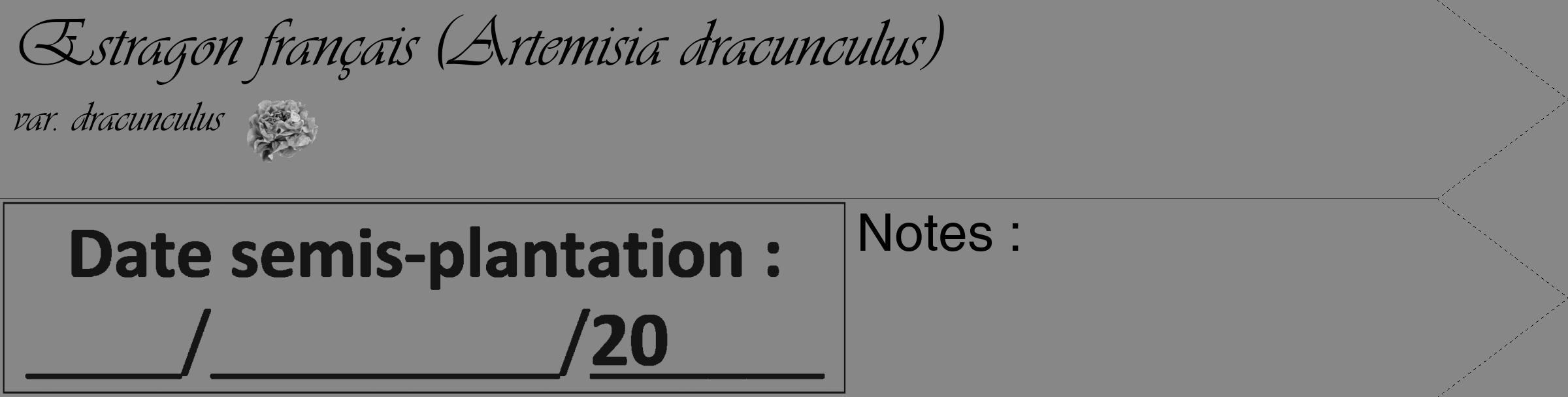 Étiquette de : Artemisia dracunculus var. dracunculus - format c - style noire12_simple_simpleviv avec comestibilité simplifiée