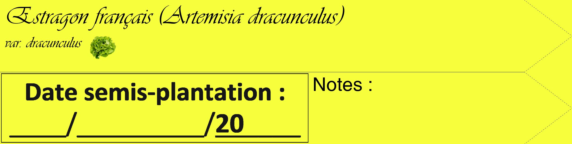 Étiquette de : Artemisia dracunculus var. dracunculus - format c - style noire18_simple_simpleviv avec comestibilité simplifiée